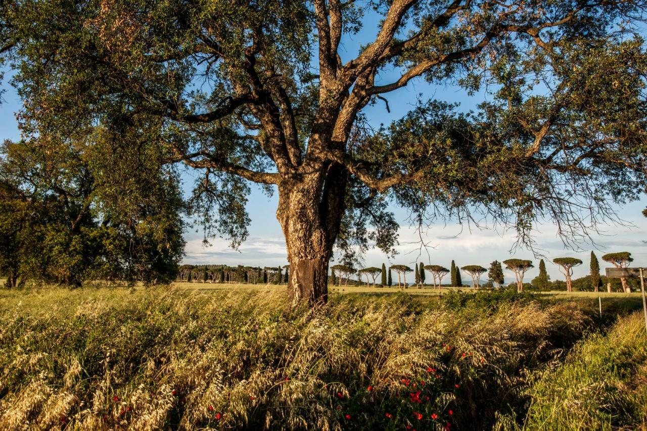 Podere Cernaia Refugium Countryhouse מראה חיצוני תמונה